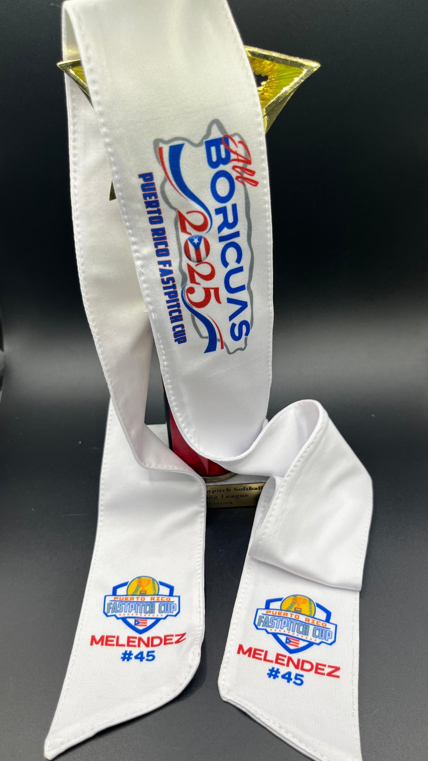 Personalized 2025 All Boricuas Tie back Headband